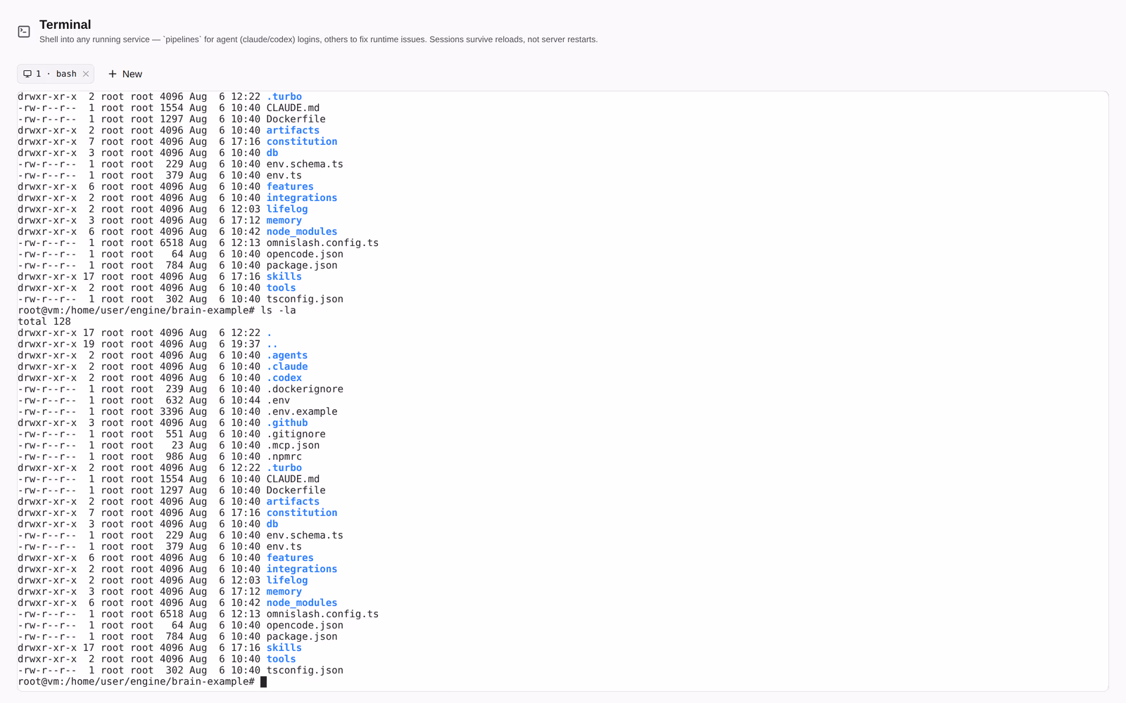 A real shell into the running container, in the browser.