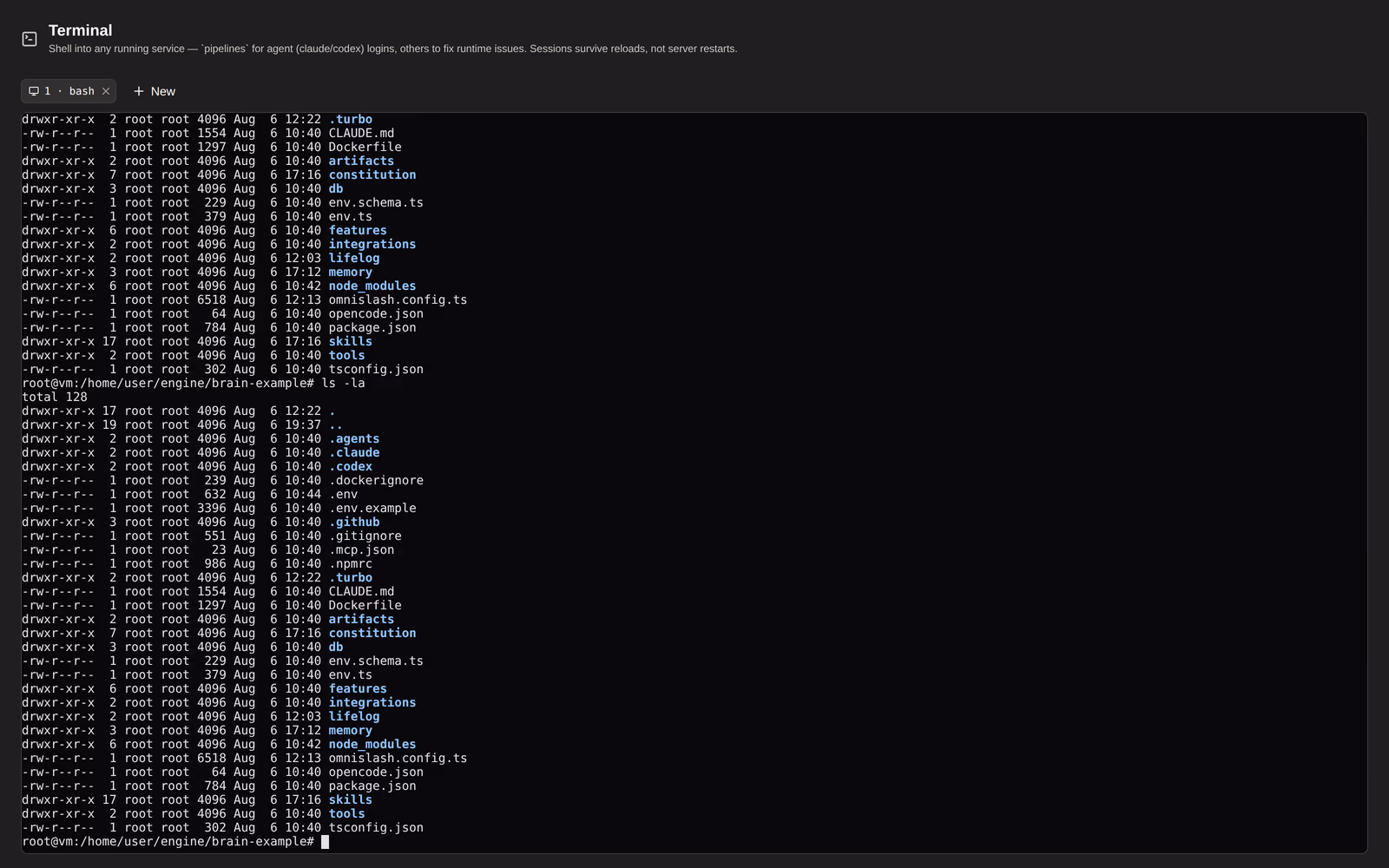 A real shell into the running container, in the browser.